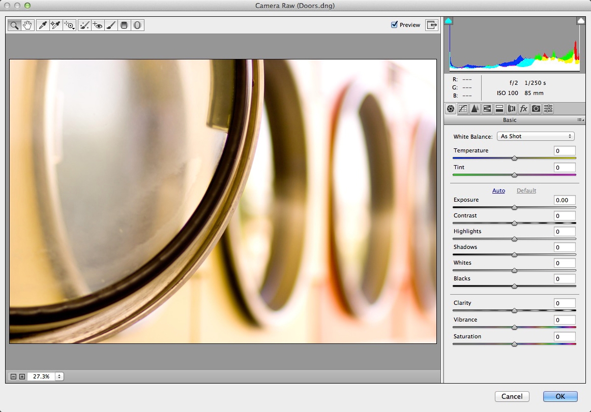 Differences between Adobe Camera Raw and the Camera Raw filter